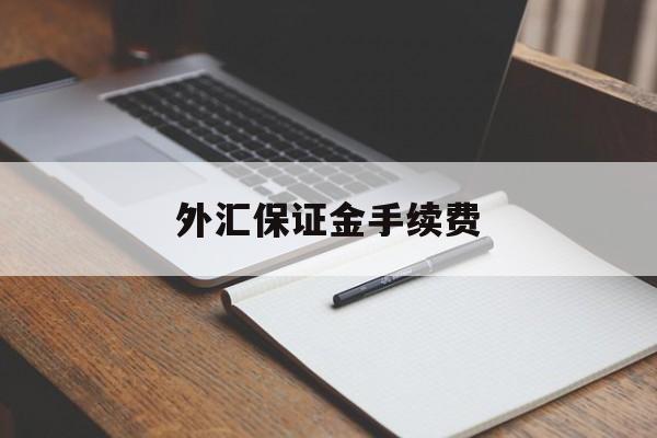 外汇保证金手续费(外汇保证金交易费用)